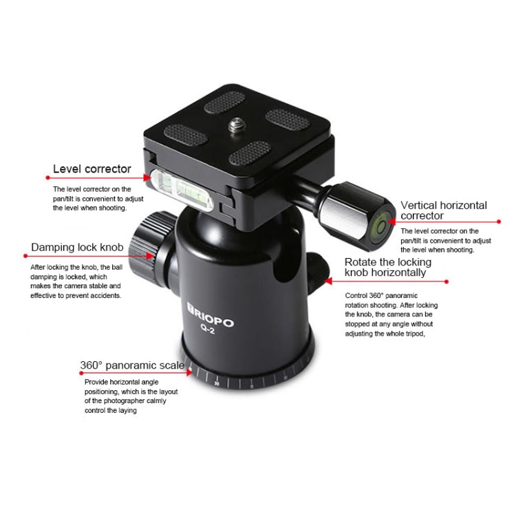 TRIOPO T259G+Q2 Adjustable Portable Carbon Fiber Tripod with Q-2 Ball Head for SLR Camera - free shipping - PMC TechLife - Order now!