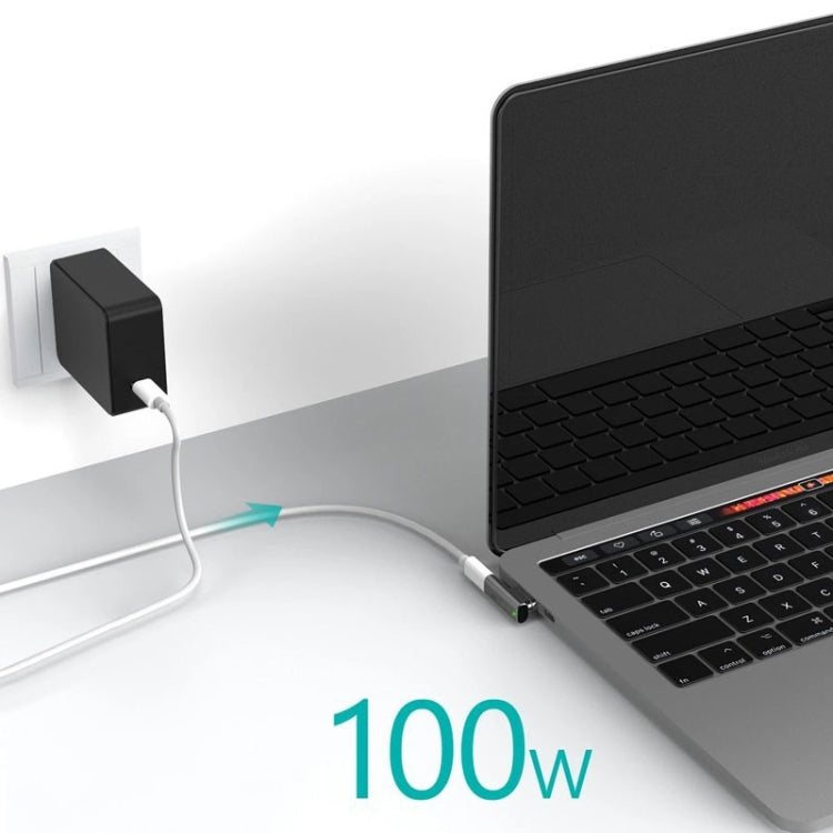 100W USB-C / Type-C Female to 20 Pin Magnetic USB-C / Type-C Male Elbow Adapter (Silver) - Cable & Adapter by PMC Jewellery | Online Shopping South Africa | PMC Jewellery | Buy Now Pay Later Mobicred