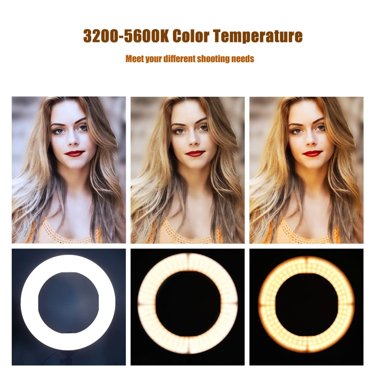 MANTOO RL-12 II 100-240V 28W 12 inch Two-color Dimmable Ring Fill Light with Tripod - free shipping - PMC Jewellery - Order now!