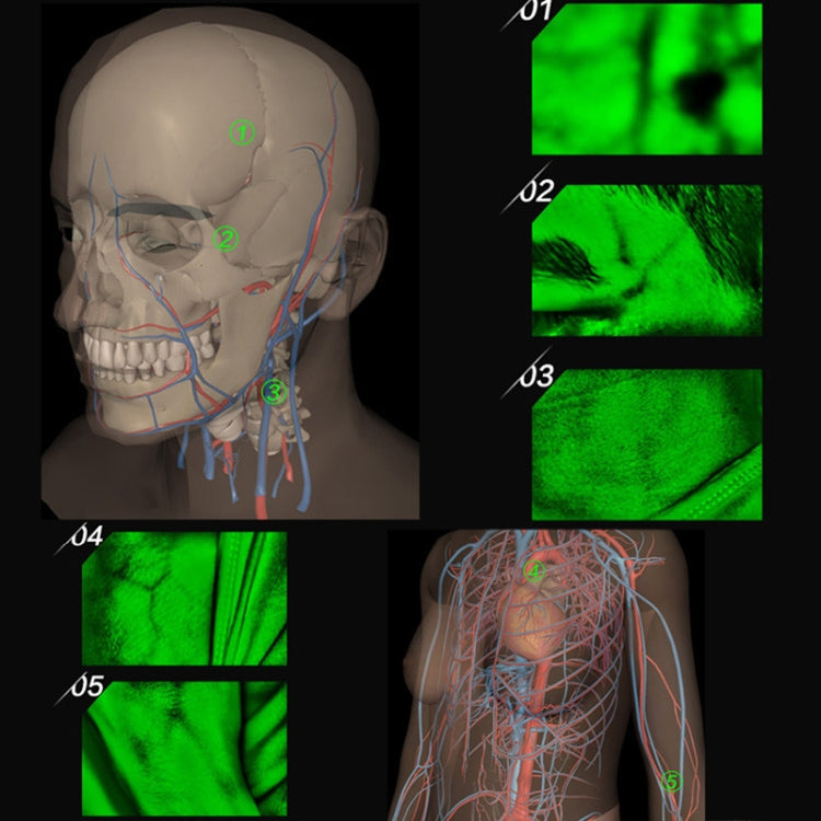 VF620 Infrared Vein Viewer -Desktop HD Adults Children Handy Efficiency Vein Locator - free shipping - PMC TechLife - Order now!
