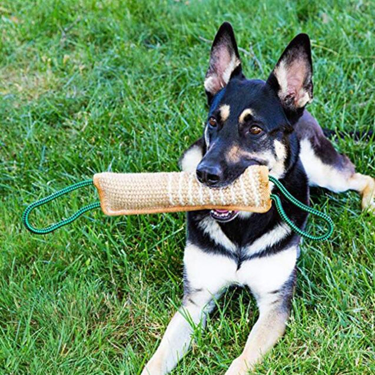 Dog Training Hemp Bite Stick Dog Bite Stick Dog Training Supplies(A3) - Training Aids by PMC TechLife | Online Shopping South Africa | PMC TechLife | Buy Now Pay Later Mobicred
