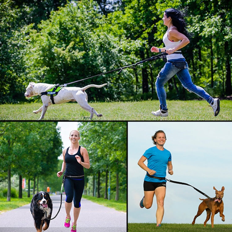 Pet Run Traction Rope Portable Waist Bag(Green) - Leashes & Chest Strap by PMC TechLife | Online Shopping South Africa | PMC TechLife | Buy Now Pay Later Mobicred