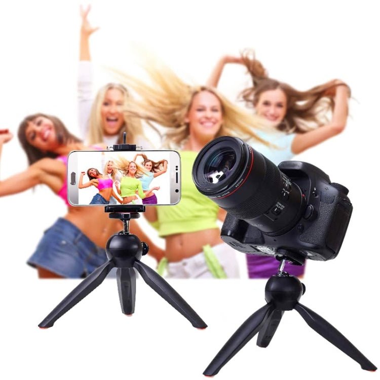 YUNTENG 228 Mini Tripod Camera Desktop Live Bracket Mobile Phone Selfie Frame(Black) - free shipping - PMC TechLife - Order now!