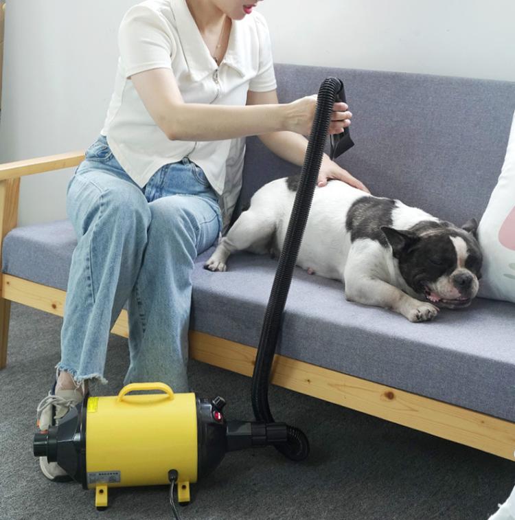 2100W Dog Dryer Stepless Speed Pet Hair Blaster With Vacuum Cleaner 220V UK Plug(Pure Yellow) - free shipping - PMC TechLife - Order now!