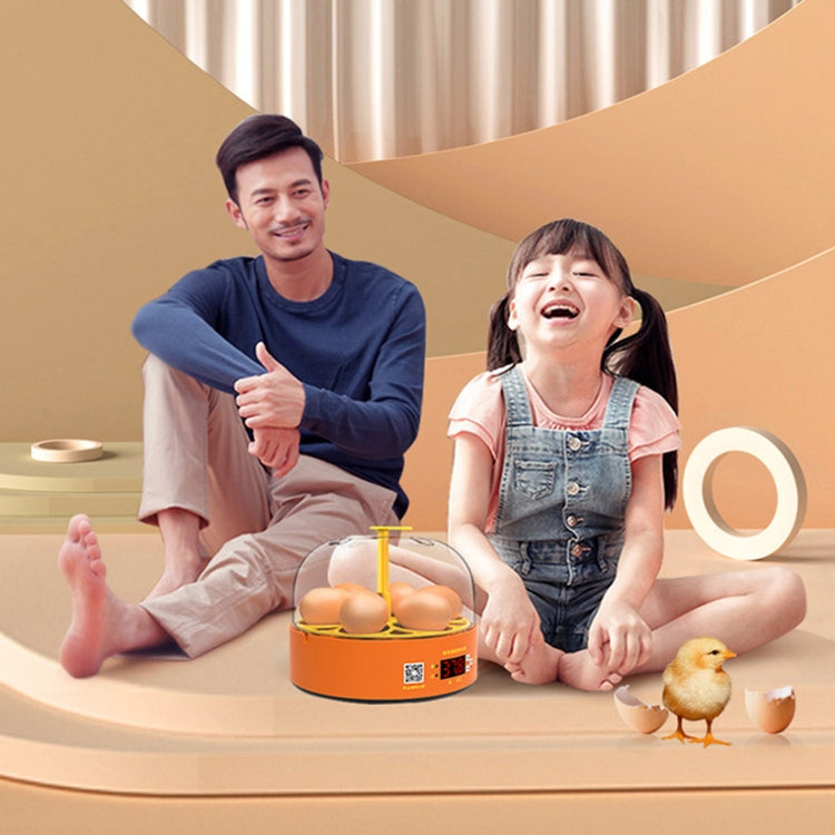 6-Eggs Small Household Experimental Children Smart Chicken Incubators, Spec: Manual EU Plug - free shipping - PMC TechLife - Order now!
