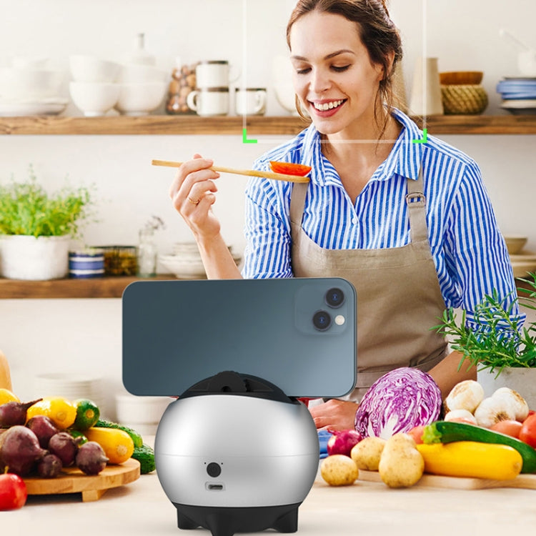 Hishell Rechargeable AI Face Intelligent Follow Shot Gimbal Cell Phone Live Streaming Video Stabilizer(Black) - free shipping - PMC TechLife - Order now!