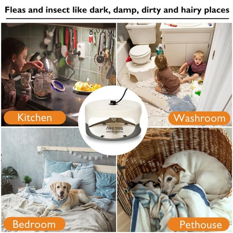 Flea Trap Pet Home Flea Lamp, Plug Type:JP Plug - Traps by PMC TechLife | Online Shopping South Africa | PMC TechLife | Buy Now Pay Later Mobicred