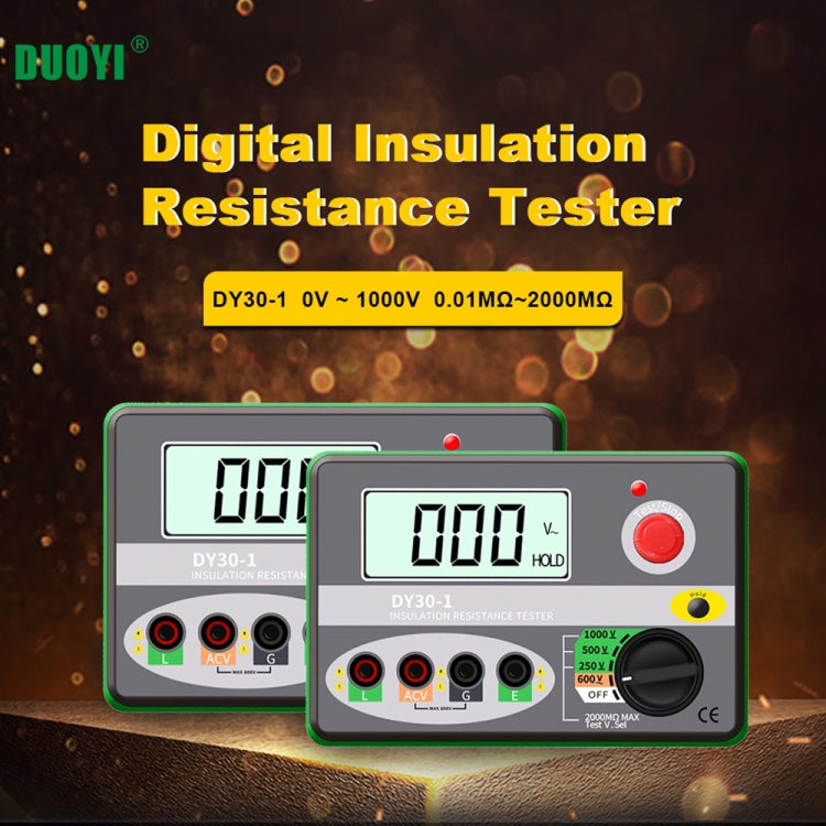 DUOYI DY30-1 Car Digital Insulation Resistance Tester Meter - Electronic Test by DUOYI | Online Shopping South Africa | PMC Jewellery | Buy Now Pay Later Mobicred