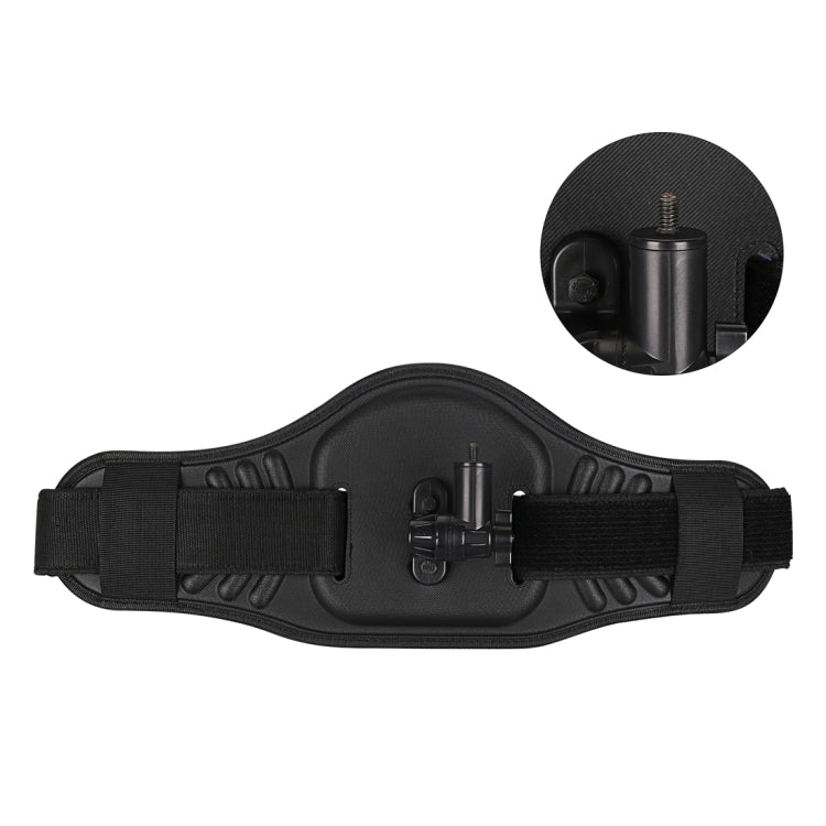 Waist Belt Mount Strap with Adapter & Screw for GoPro, Insta360, DJI and Other Action Cameras(Black) - Chest Belt by PMC TechLife | Online Shopping South Africa | PMC TechLife | Buy Now Pay Later Mobicred