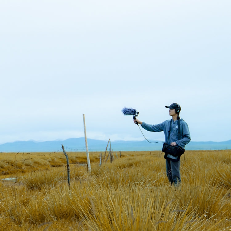 Deity V-Mic D3 Pro Directional Condenser Shotgun Microphone with Shock Mount (Black) - free shipping - PMC TechLife - Order now!