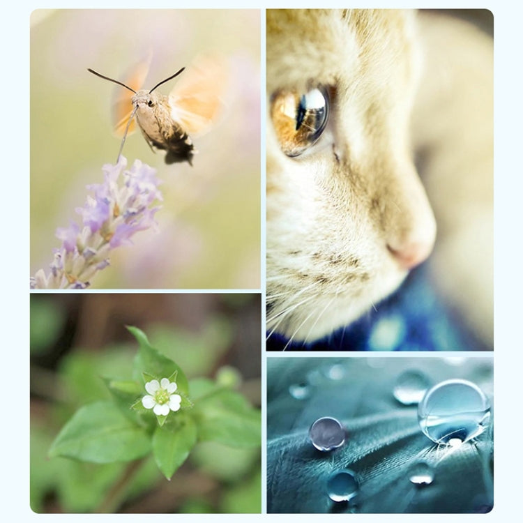 RUIGPRO for GoPro HERO 7/6 /5 Professional 52mm 8X Star Effect Lens Filter with Filter Adapter Ring & Lens Cap - Lens Filter by RUIGPRO | Online Shopping South Africa | PMC TechLife | Buy Now Pay Later Mobicred