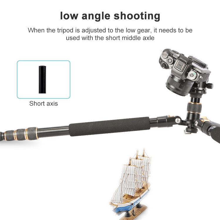 TRIOPO 554 Adjustable Portable  Aluminum Alloy Tripod with D-2A Ball Head for SLR Camera - free shipping - PMC TechLife - Order now!