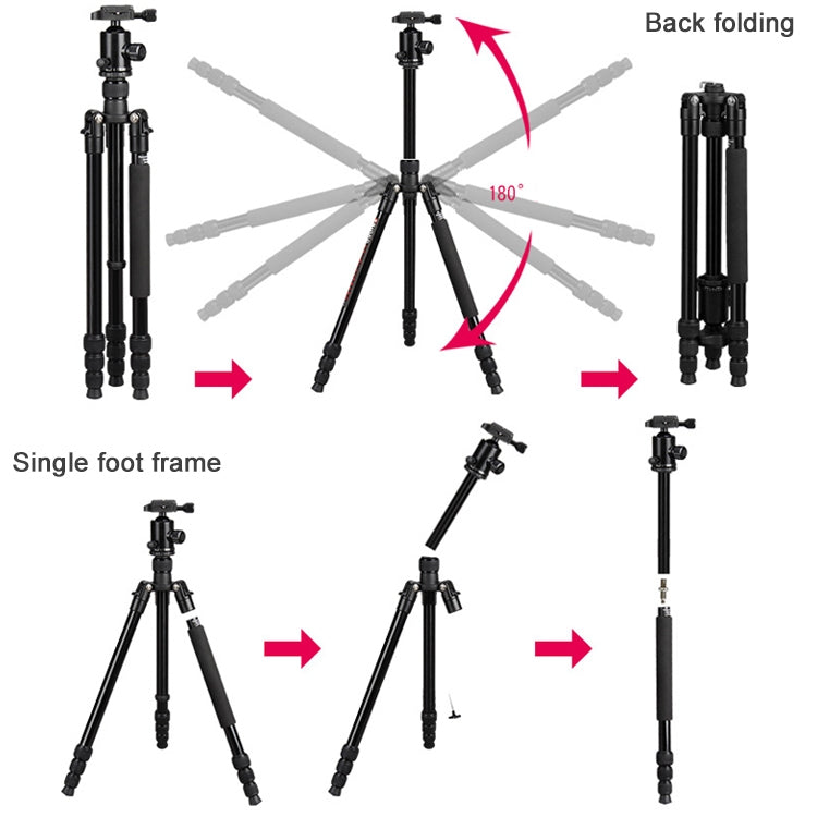 TRIOPO Oubao TA300 Adjustable Portable Aluminum Alloy Tripod with Ball Head for SLR Camera - free shipping - PMC TechLife - Order now!