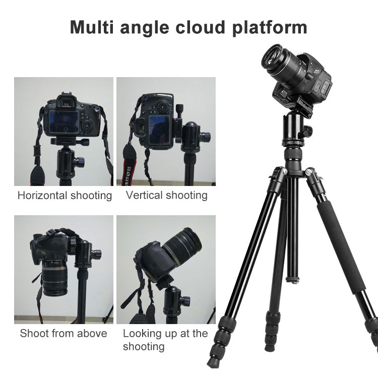 TRIOPO Oubao TA300 Adjustable Portable Aluminum Alloy Tripod with Ball Head for SLR Camera - free shipping - PMC TechLife - Order now!
