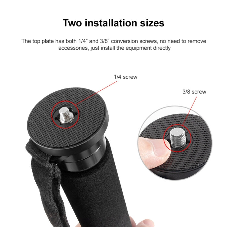 BEXIN P406C Camera Carbon Fiber Monopod Travel Live Selfie Bracket Holder - Monopods by BEXIN | Online Shopping South Africa | PMC TechLife | Buy Now Pay Later Mobicred