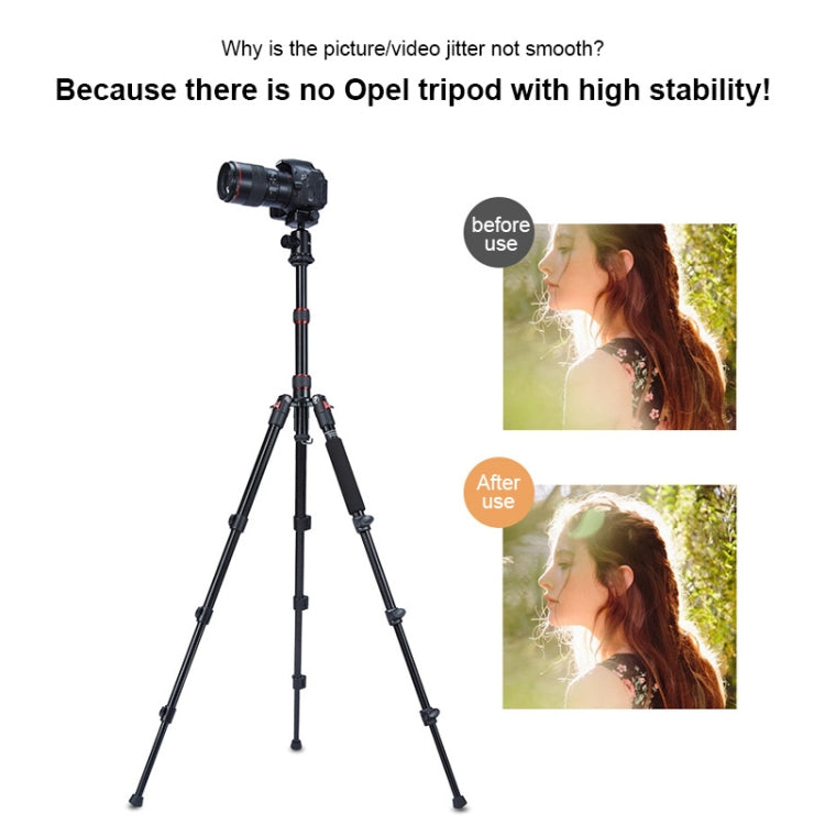 TRIOPO Oubao A-208S Adjustable Portable  Aluminum Alloy Tripod with Ball Head for SLR Camera - free shipping - PMC TechLife - Order now!