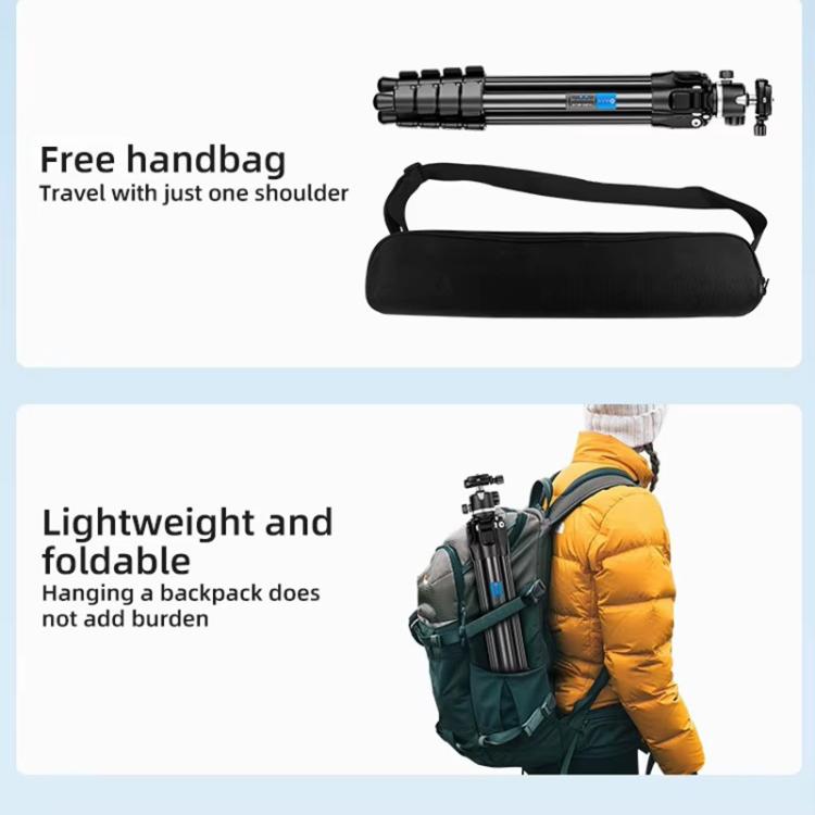 BEXIN TA255-BS30 Portable Collapsible Aluminum Alloy Camera Tripod with Head (Black) - free shipping - PMC TechLife - Order now!