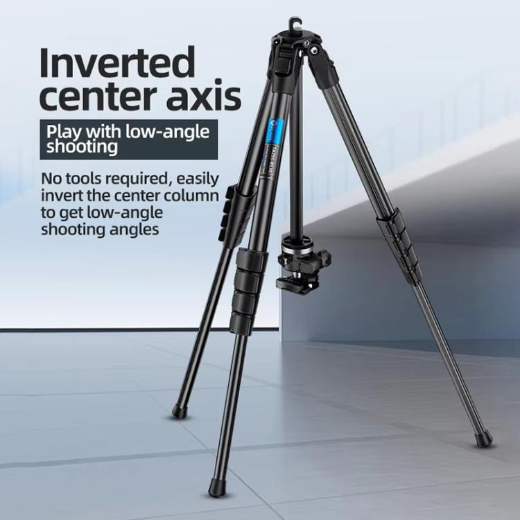 BEXIN TA254-BS30 Portable Collapsible Aluminum Alloy Camera Tripod with Head (Black) - free shipping - PMC TechLife - Order now!