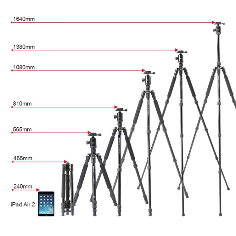TRIOPO M2508 Multifunction Adjustable 4-Section Portable Aluminum Alloy Tripod Monopod with D-2A Ball Head for SLR Camera - free shipping - PMC TechLife - Order now!