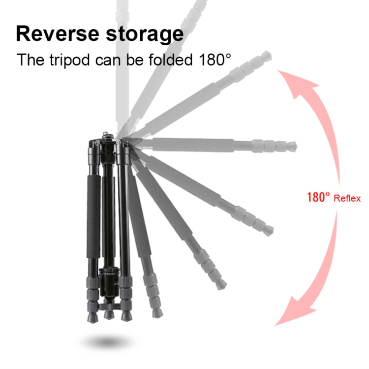 TRIOPO M2508 Multifunction Adjustable 4-Section Portable Aluminum Alloy Tripod Monopod with D-2A Ball Head for SLR Camera - free shipping - PMC TechLife - Order now!