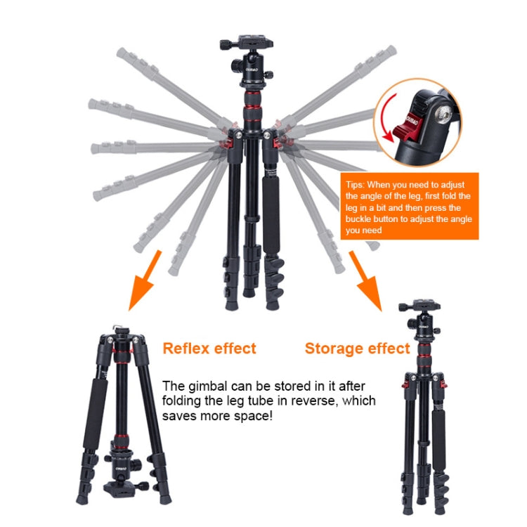 TRIOPO K2508S+B1S Adjustable Portable  Aluminum Alloy Tripod with Ball Head for SLR Camera(Red) - free shipping - PMC TechLife - Order now!