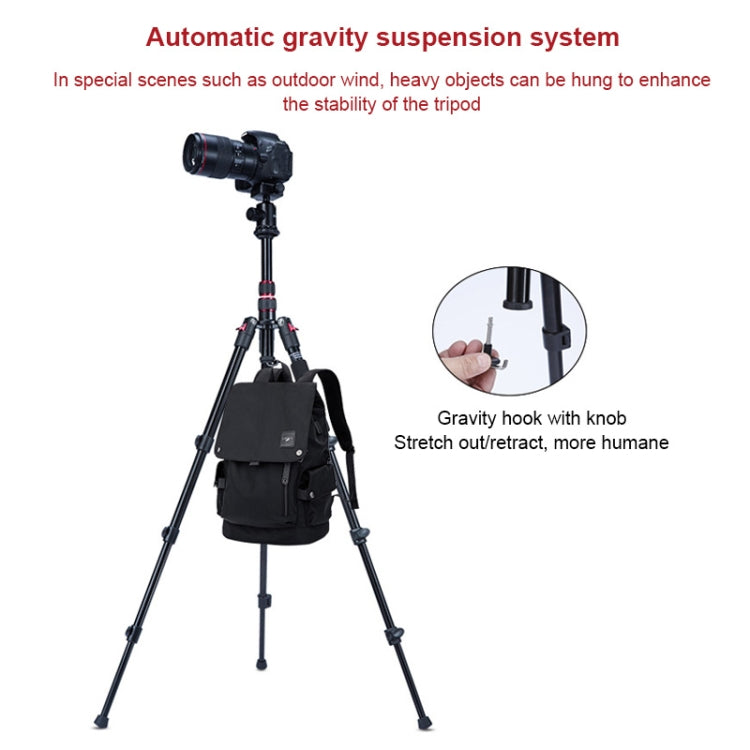TRIOPO K2508S+B1S Adjustable Portable  Aluminum Alloy Tripod with Ball Head for SLR Camera(Gold) - free shipping - PMC TechLife - Order now!