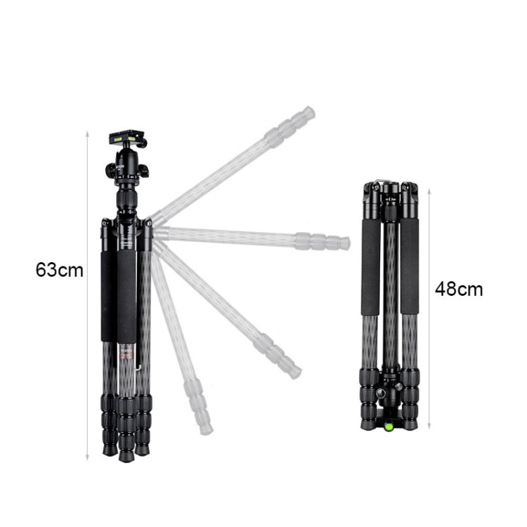 BEXIN W284C H36 Carbon Fiber Professional Photo Tripod for DSLR Camera - free shipping - PMC TechLife - Order now!