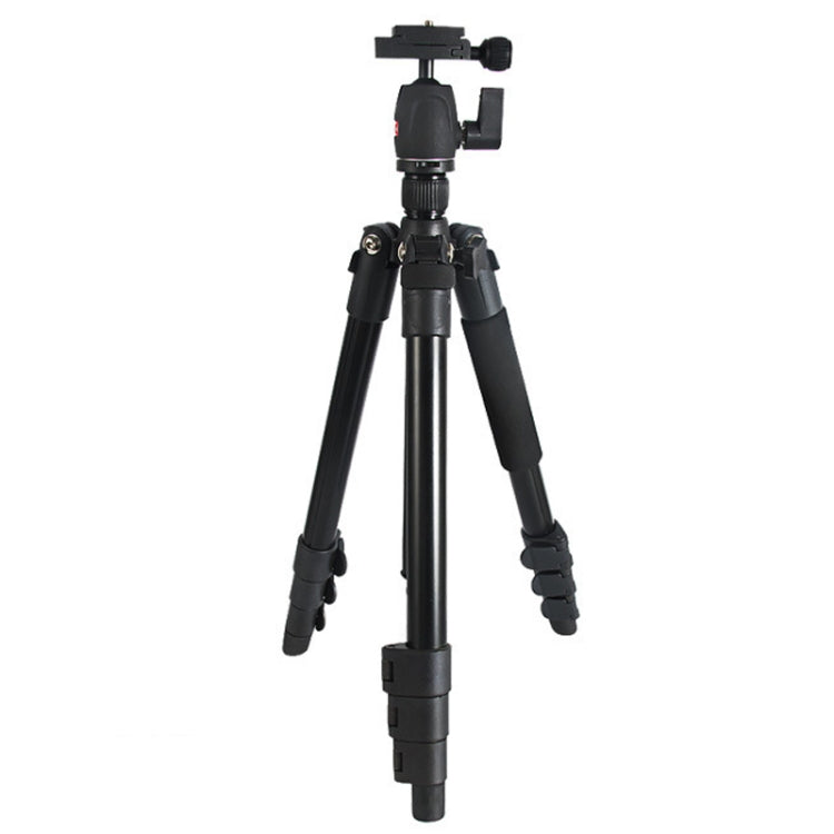 Bexin MS11 Portable Flexible Photographic Tripods for Smart Phone DSLR Slr Camera Camcorder DV - free shipping - PMC TechLife - Order now!
