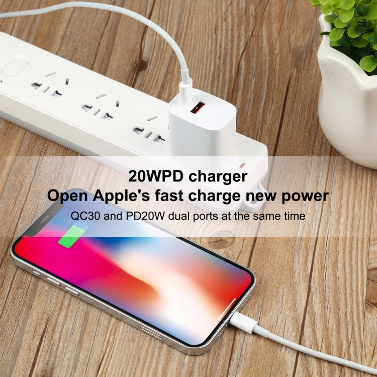 U087 20W USB-C / Type-C + USB Ports Charger with 100W Type-C to 8 Pin Fast Charging Cable 1m, US Plug - USB Charger by PMC Jewellery | Online Shopping South Africa | PMC Jewellery | Buy Now Pay Later Mobicred