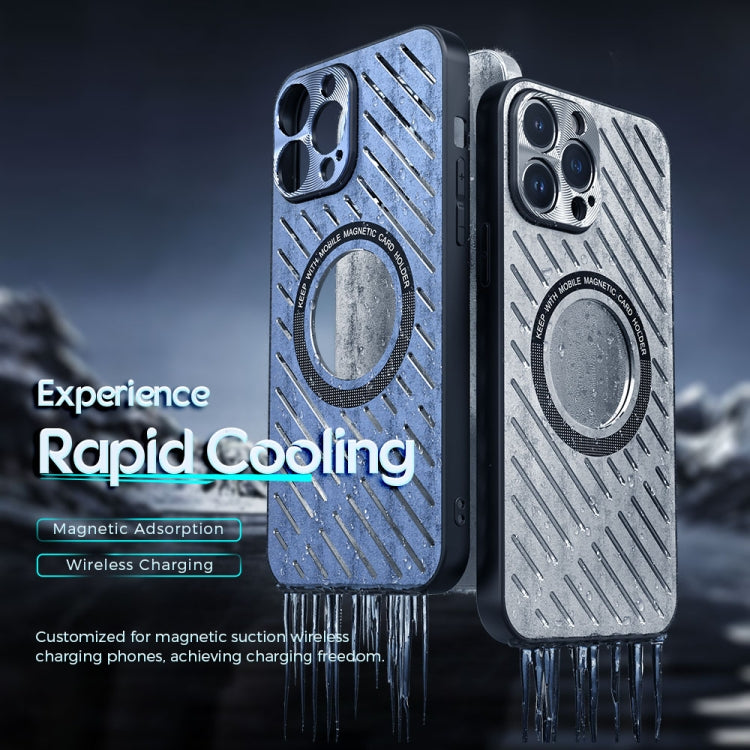 For iPhone 12 Pro R-JUST RJ57 CD Pattern MagSafe Cooling Phone Case(Silver) - free shipping - PMC TechLife - Order now!