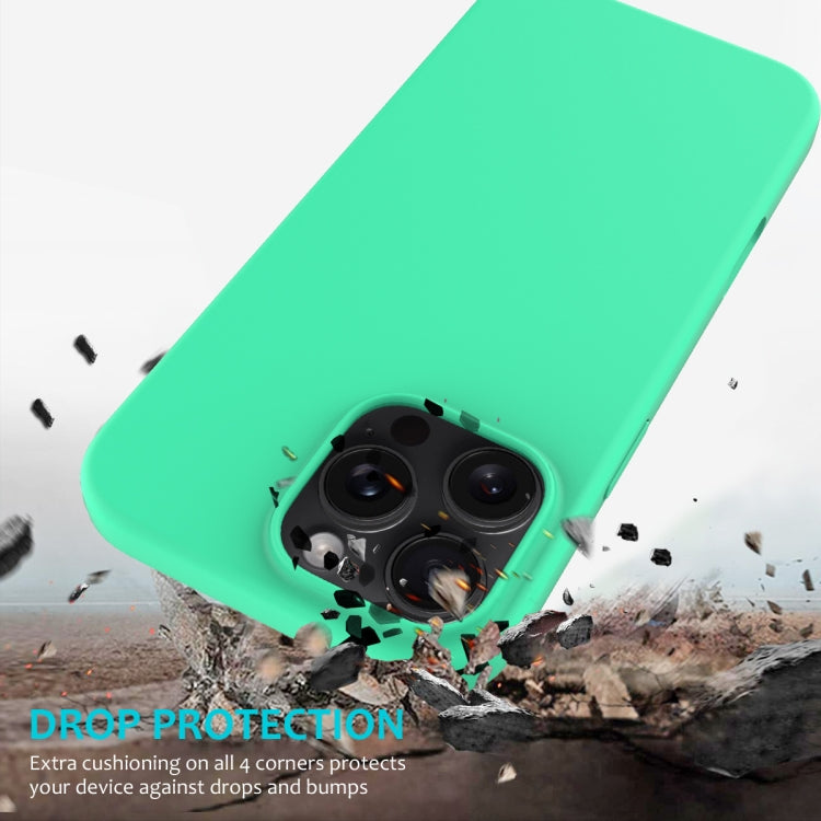 For iPhone 16 Pro Solid Color Silicone Phone Case(Green) - More iPhone Cases by PMC Jewellery | Online Shopping South Africa | PMC Jewellery | Buy Now Pay Later Mobicred