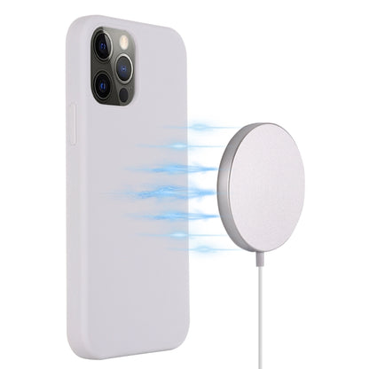 For iPhone 15 Pro Max Shockproof Silicone Magsafe Phone Case(White) - iPhone 15 Pro Max Cases by PMC Jewellery | Online Shopping South Africa | PMC Jewellery