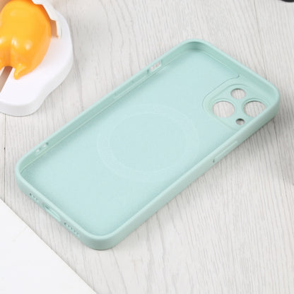 For iPhone 15 Liquid Silicone Magsafe Phone Case(Light Cyan) - iPhone 15 Cases by PMC Jewellery | Online Shopping South Africa | PMC Jewellery