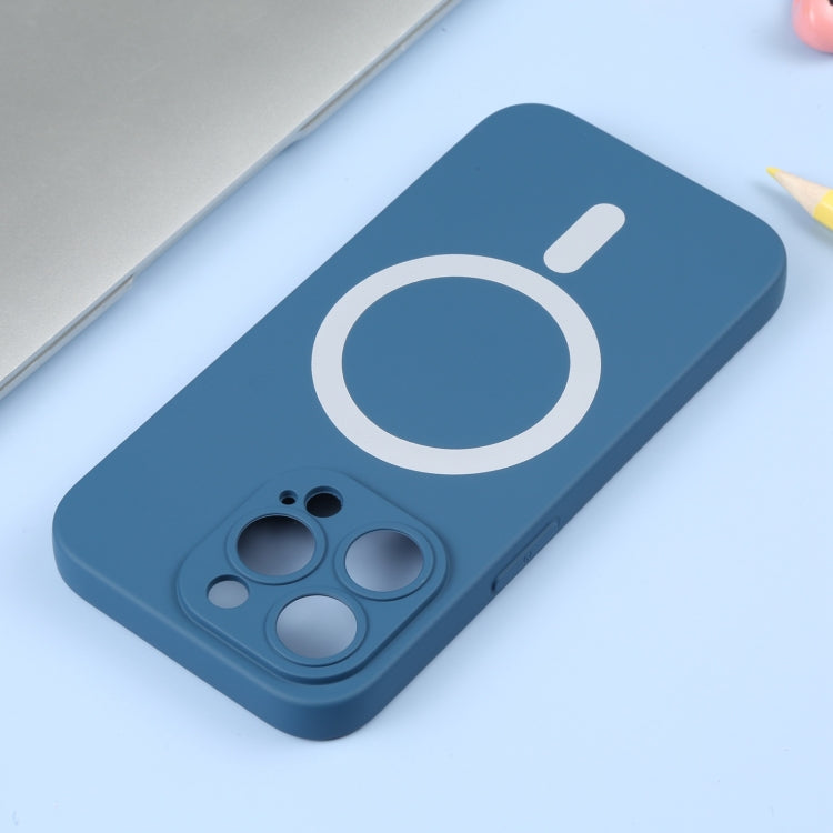 For iPhone 16 Pro Liquid Silicone Magsafe Phone Case(Blue) - iPhone 16 Pro Cases by PMC Jewellery | Online Shopping South Africa | PMC Jewellery | Buy Now Pay Later Mobicred