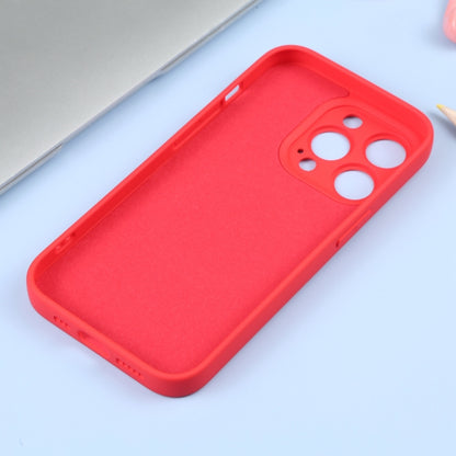 For iPhone 16 Pro Liquid Silicone Magsafe Phone Case(Red) - iPhone 16 Pro Cases by PMC Jewellery | Online Shopping South Africa | PMC Jewellery | Buy Now Pay Later Mobicred