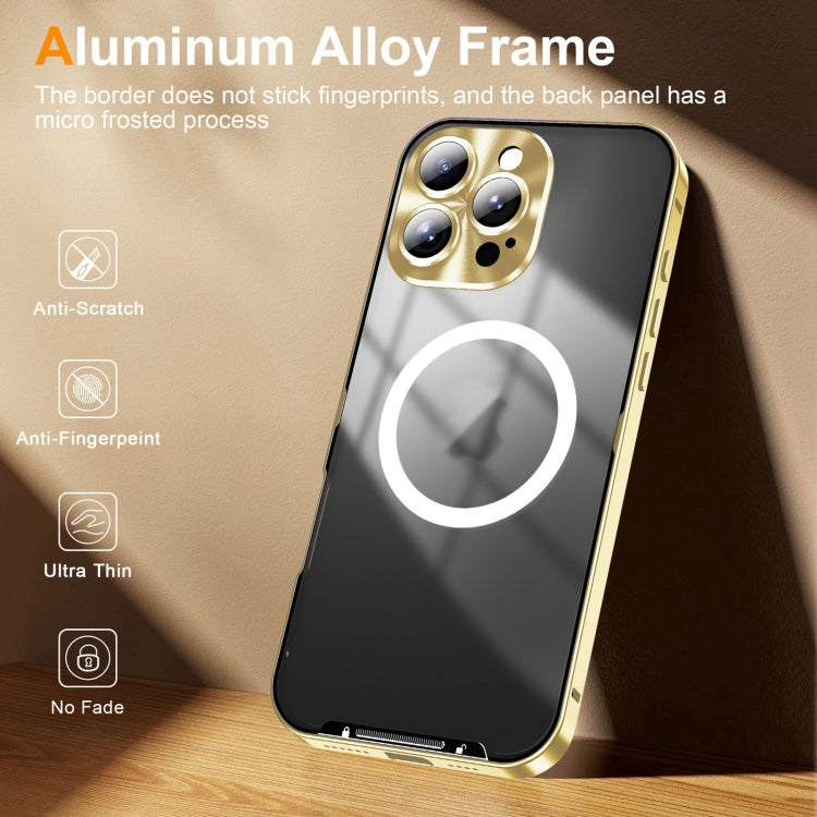 For iPhone 16 Pro Max Frosted MagSafe Magnetic Metal Phone Case(Gold) - iPhone 16 Pro Max Cases by PMC Jewellery | Online Shopping South Africa | PMC Jewellery | Buy Now Pay Later Mobicred