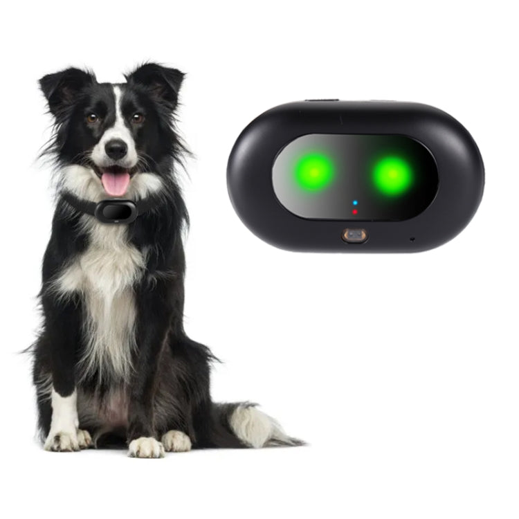 V41 Smart GPS Tracker IP67 Waterproof Pet Anti-loss Positioner, Version:4G  Version-A for Europe Asia Africa Australia(Black) - Pet Tracker by PMC TechLife | Online Shopping South Africa | PMC TechLife | Buy Now Pay Later Mobicred