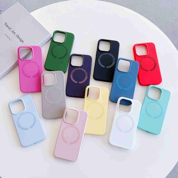 For iPhone 15 Pro MagSafe Magnetic Liquid Silicone Phone Case(White) - iPhone 15 Pro Cases by PMC TechLife | Online Shopping South Africa | PMC TechLife | Buy Now Pay Later Mobicred