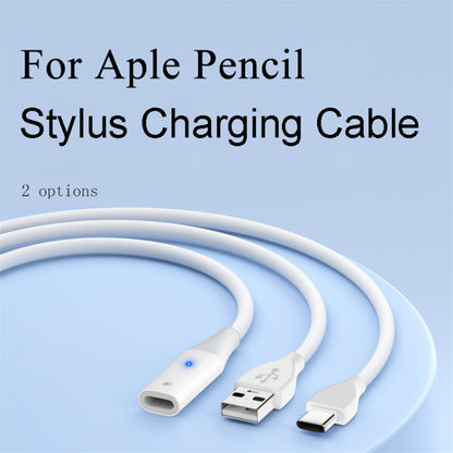 For Apple Pencil 1 USB to 8 Pin Stylus Charging Cable with Indicator Light, Length:0.5m(White) - Pencil Accessories by PMC Jewellery | Online Shopping South Africa | PMC Jewellery | Buy Now Pay Later Mobicred