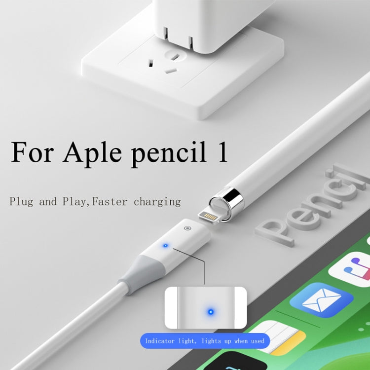 For Apple Pencil 1 USB to 8 Pin Stylus Charging Cable with Indicator Light, Length:0.5m(White) - Pencil Accessories by PMC Jewellery | Online Shopping South Africa | PMC Jewellery | Buy Now Pay Later Mobicred