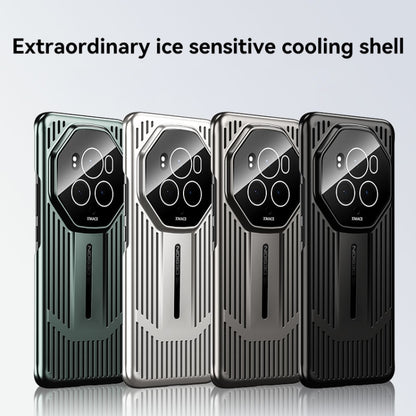 For Honor Magic6 Pro Ice Sense Heat Dissipation Electroplating Frosted Phone Case(Silver) - Honor Cases by PMC Jewellery | Online Shopping South Africa | PMC Jewellery | Buy Now Pay Later Mobicred