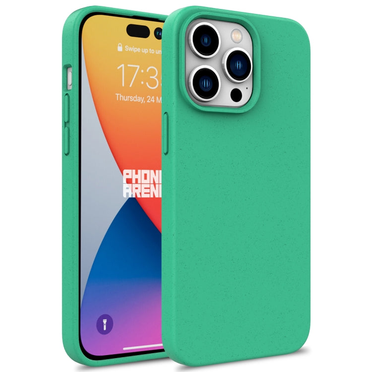 For iPhone 16 Pro Wheat Straw TPU Phone Case(Green) - iPhone 16 Pro Cases by PMC Jewellery | Online Shopping South Africa | PMC Jewellery | Buy Now Pay Later Mobicred