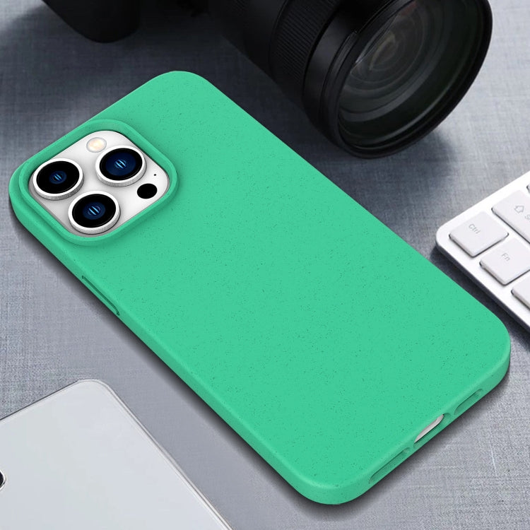 For iPhone 16 Pro Max Wheat Straw TPU Phone Case(Blue) - iPhone 16 Pro Max Cases by PMC TechLife | Online Shopping South Africa | PMC TechLife | Buy Now Pay Later Mobicred