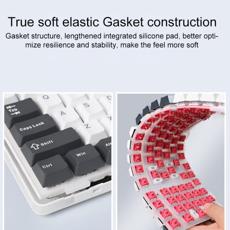 AULA F87 87 Keys Wired/2.4G/Bluetooth Three Model Customized RGB Mechanical Keyboard(Thunder Black) - free shipping - PMC TechLife - Order now!