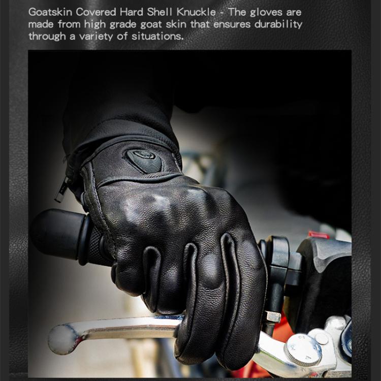 EDA0080867_B2.jpg@bf16857e24d5feef643f21de4e09b89b