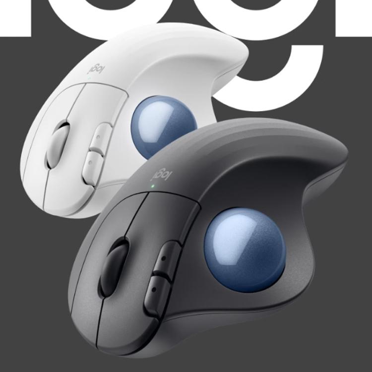 EDA0081592_B1.jpg@e9d91d077b905e0b8f417a18f5ce0648