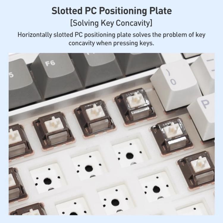 EDA0085756_B5.jpg@148b8b2293f6fb9dc4e888dd3c43cd2c