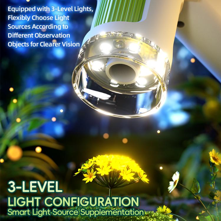 EDA008620801A_7.jpg@827cc495b9aeb309eca1e9674ee34e39