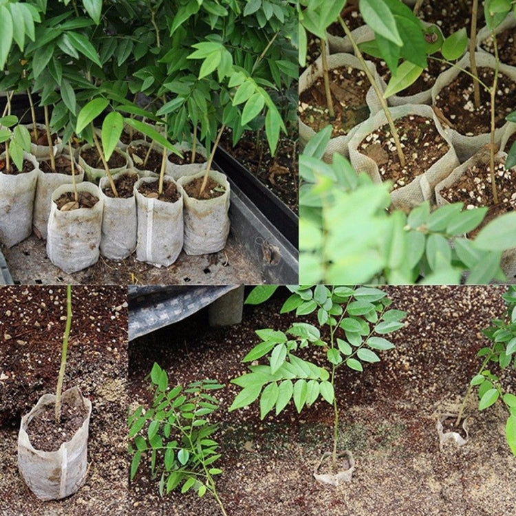 100pcs/Pack Nursery Pots Seedling-Raising Bags Environmental Non-woven Nursery Bags - Flower Pots & Planters by PMC TechLife | Online Shopping South Africa | PMC TechLife