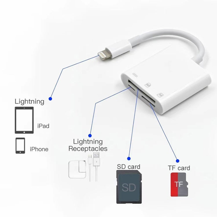 NK-101Y Pro 8 Pin to 8 Pin + SD + TF Port 3 in 1 Camera Reader Adapter - Converter & Adapter by PMC Jewellery | Online Shopping South Africa | PMC Jewellery | Buy Now Pay Later Mobicred